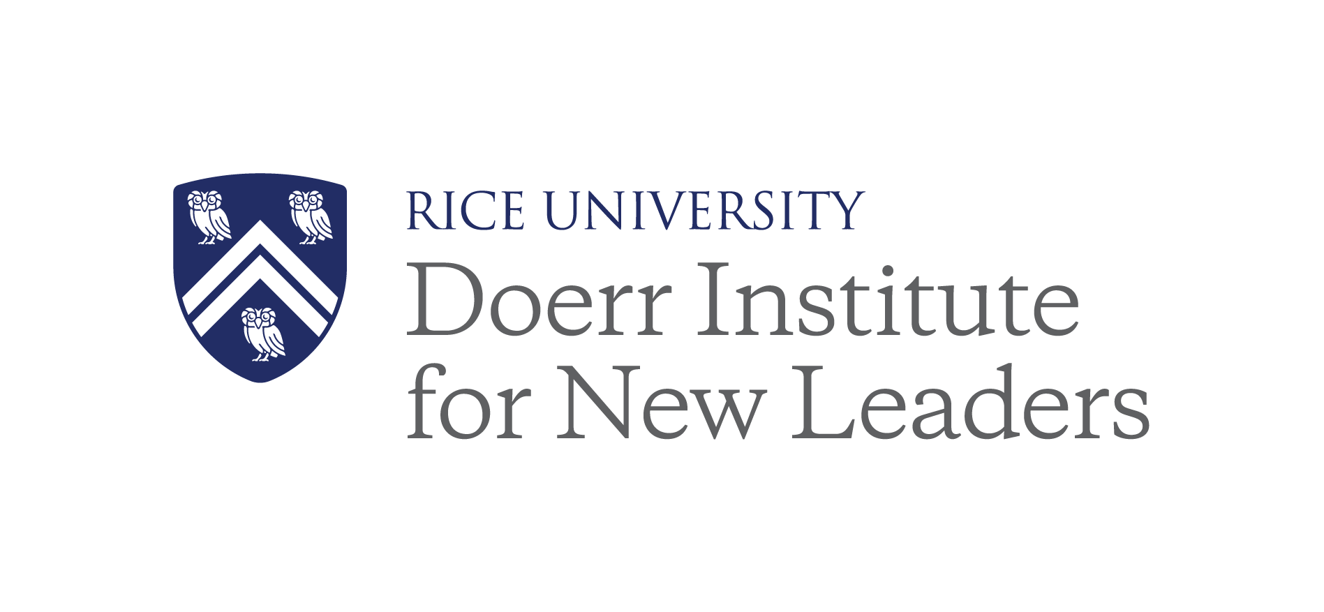 Doerr Institute for New Leaders