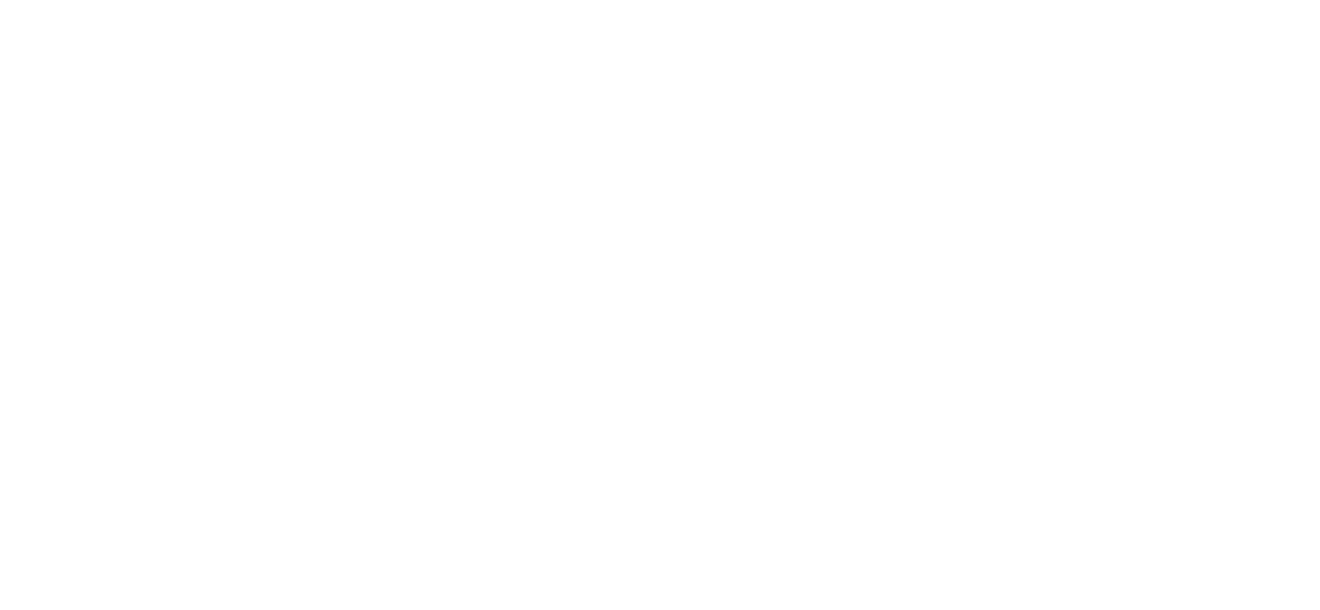 Doerr Institute for New Leaders